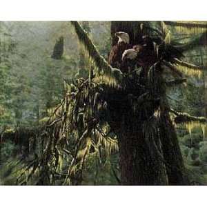  Collin Bogle   The Enchanted Forest Canvas: Home & Kitchen