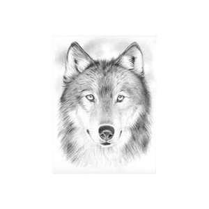  Reeves Sketching By Number Kit 8x11 3/4 wolf 2 Pack 