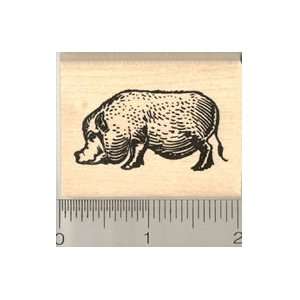  Pot bellied Pig Rubber Stamp   Wood Mounted: Arts, Crafts 