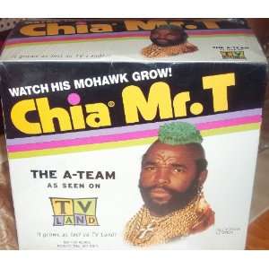  Chia Mr.T The A Team As Seen On TV Land Nickelodeon Promo 