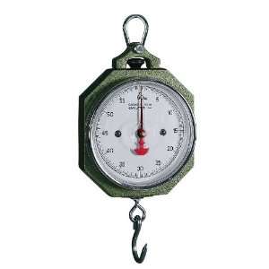 Fairbanks Hanging Scale, 60 lb x 4 oz  Industrial 