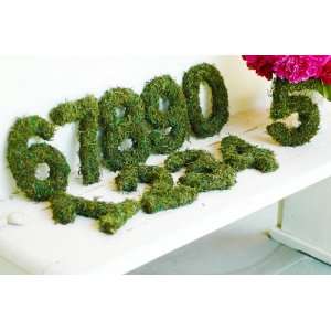 Set of 3 Moss Table Numbers:  Home & Kitchen