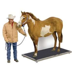  Equine Weigh System