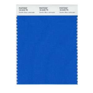 Pantone 18 4245 Nylon Brights Color Swatch Card: Home 