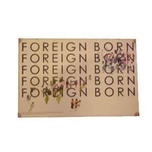  Foreign Born Poster Foreignborn 