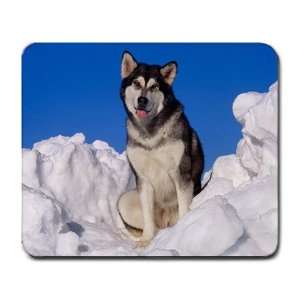   Mouse Pad Mat Computer Wolf White Snow Animal Dog: Everything Else
