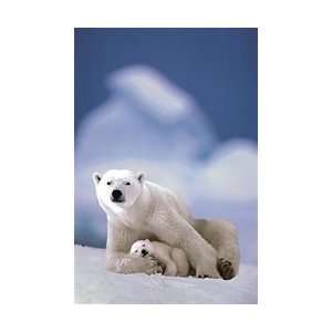  Polar Bear and Baby Poster: Home & Kitchen