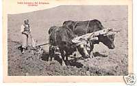 Bolivia Indian farmer of the high plateau/Old postcard  