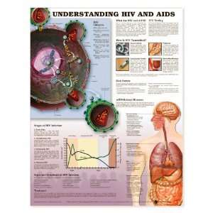 AIDS HIV Disease Chart  Industrial & Scientific