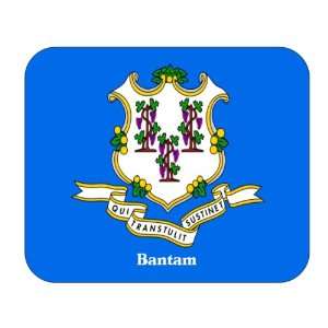  US State Flag   Bantam, Connecticut (CT) Mouse Pad 