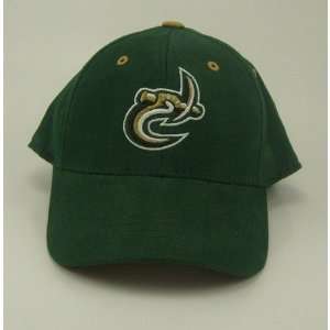  North Carolina Charlotte 49ers NCAA Youth 1 Fit Hat: Sports & Outdoors