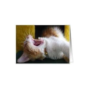  Yawning Kitty   Blank Note Card Card Health & Personal 