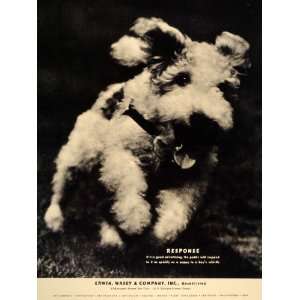   Ad Erwin Wasey Advertising Agency Scottie Puppy   Original Print Ad