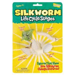  9 Pack INSECT LORE SILKWORM LIFE CYCLE STAGES Everything 