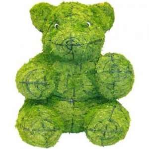  Sitting Teddy Bear Mossed Topiary Frame: Home & Kitchen