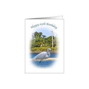  69th Birthday Card with Great White Egret Card: Toys 