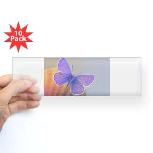   Sticker Clear (10 Pack) Xerces Purple Butterfly: Everything Else