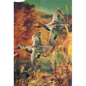  3 D Photo Card of 2 Geese Flying 