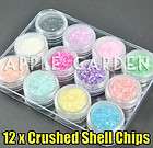 12 COLOR x CRUSHED SHELL CHIPS NAIL ART TIPS DECO #230  
