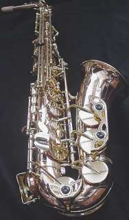 YANAGISAWA ALTO Saxophone   A902 in BRONZE   NEW   Ships FREE 