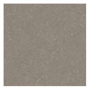 Wilsonart Laminate 4 x 8  Evening Tigris