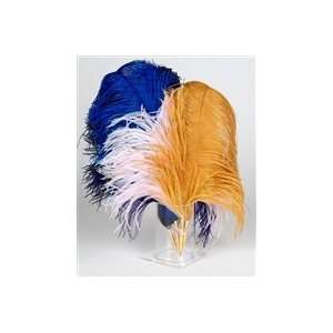  Ostrich Feather Ballpoint Pen Quill Pen with deluxe 