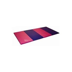 Nastia Liukin Pink & Purple 4x6 Folding Mat American Athletic HOLIDAY 