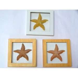  3 Open Front Shadow Boxes Orange / White Starfish Tropical 