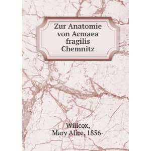   von Acmaea fragilis Chemnitz Mary Alice, 1856  Willcox Books