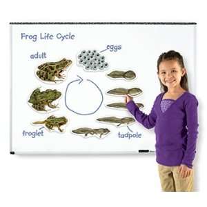   LEARNING RESOURCES GIANT MAGNETIC FROG LIFE CYCLE 