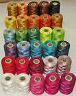 Alcazar Rayon Embroidery Thread Kit w/Carrying case (30 colors @ 1000m 
