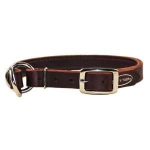  Strictly Business Leather Dog Collar: Pet Supplies
