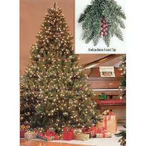 Pre Lit Full Hawthorne Fir Frosted Artificial Christmas Tree 