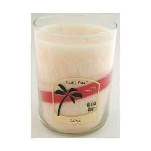 Aloha Bay Palm Wax Candles   Love   Nature Scented Two Wick Jars 15 oz 