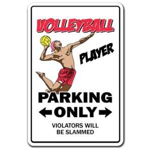  VOLLEYBALL PLAYER ~Novelty Sign~ parking ball net gift 