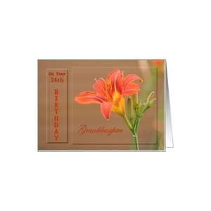   Granddaughter ~ Age Specific 24th ~ Orange Day Lily Card Toys & Games