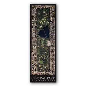  Central Park, New York City by Aric Boyles 51.375x17.375 