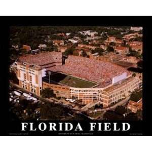   Stadium Florida Gators Aerial Unframed Print