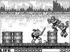   Mutant Ninja Turtles III: Radical Rescue (Nintendo Game Boy, 1989
