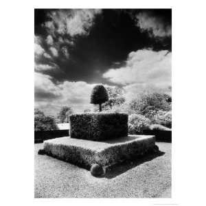 Topiary at Arley Hall, Cheshire, England Giclee Poster Print by Simon 