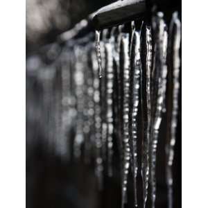  Icicles Hanging from Eaves after a Very Cold Night Premium 