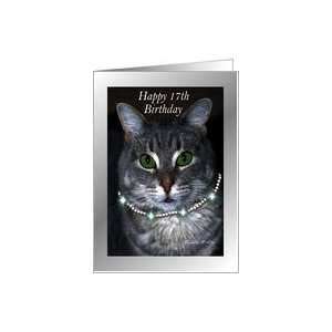  17th Happy Birthday ~ Spaz the Cat Card: Toys & Games