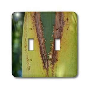  Florene Macro Nature   Palm Unzipped   Light Switch Covers 