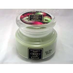    Root Candle Apple Harvest Queen Bee Mini 5.5 ounces