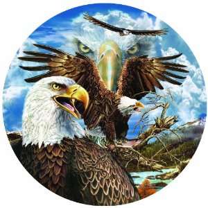   13 Eagles 1000pc Jigsaw Puzzle by Steven Michael Gardner: Toys & Games