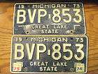 pair 1973 Michigan license plates. Water Winter Wonderland