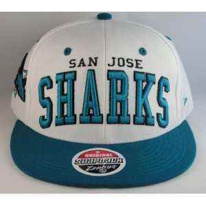   : NHL San Jose Sharks Zephyr Flat Bill Snapback Hat: Everything Else