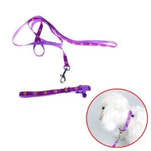   : Purple Pet Dog Neck Nylon Pet Leash and Collar Strap: Pet Supplies