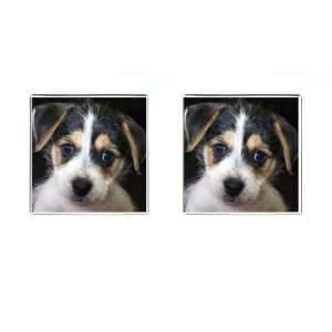  Jack Russell Puppy Dog Square Cufflinks F0702: Everything 