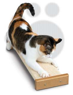 SmartCat Bootsies Combination Scratcher Cat Training  